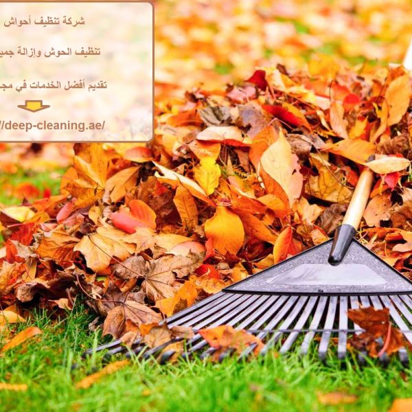 شركة تنظيف أحواش أبوظبي