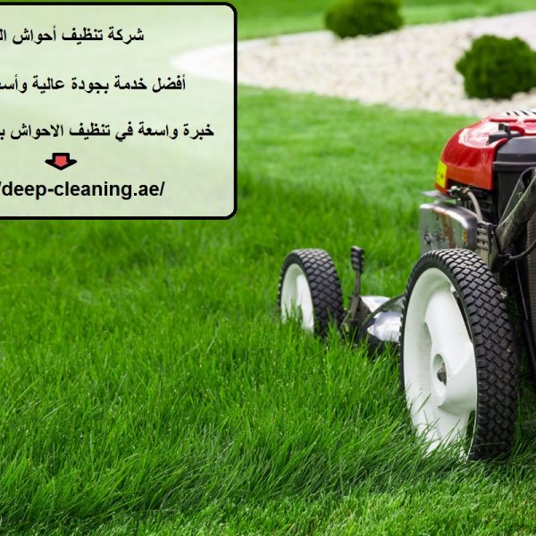 شركة تنظيف أحواش العين