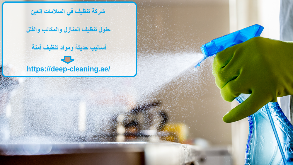شركة تنظيف في السلامات العين