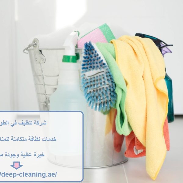 شركة تنظيف في الطوية العين