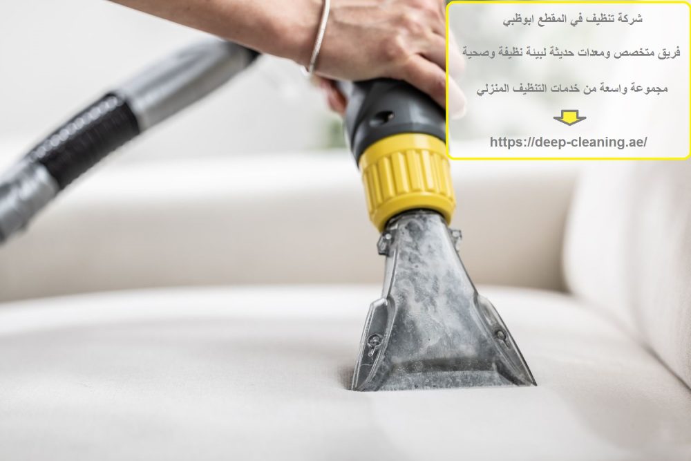 شركة تنظيف في المقطع ابوظبي