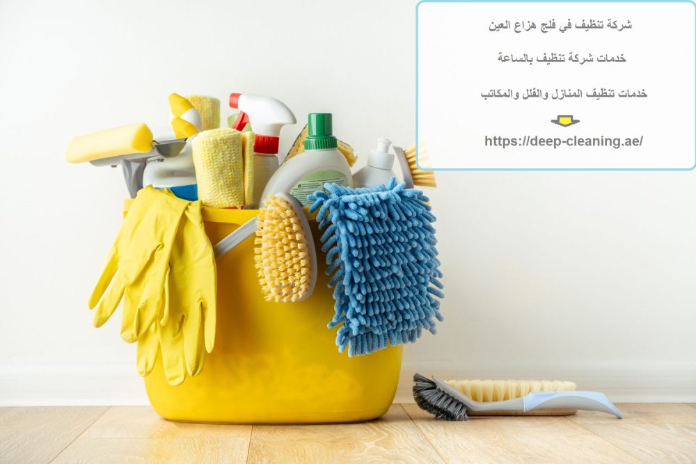 شركة تنظيف في فلج هزاع العين