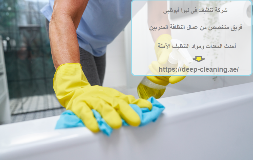 شركة تنظيف في ليوا أبوظبي