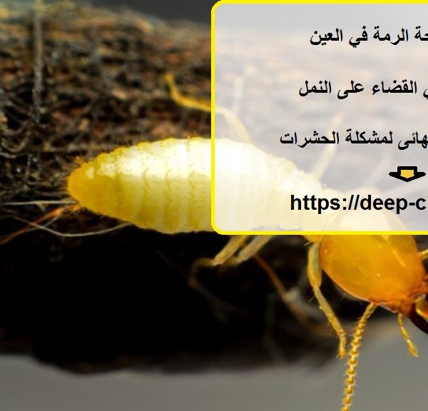 شركة مكافحة الرمة في العين