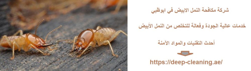 شركة مكافحة النمل الابيض في ابوظبي