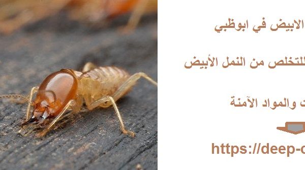 شركة مكافحة النمل الابيض في ابوظبي