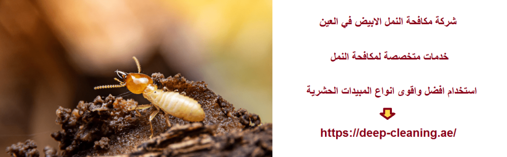 شركة مكافحة النمل الابيض في العين