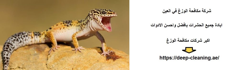 شركة مكافحة الوزغ في العين