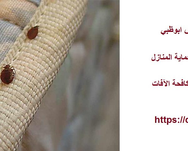 شركة مكافحة بق الفراش ابوظبي