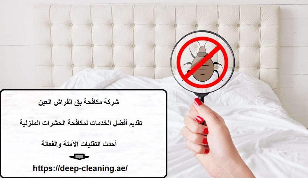 شركة مكافحة بق الفراش العين