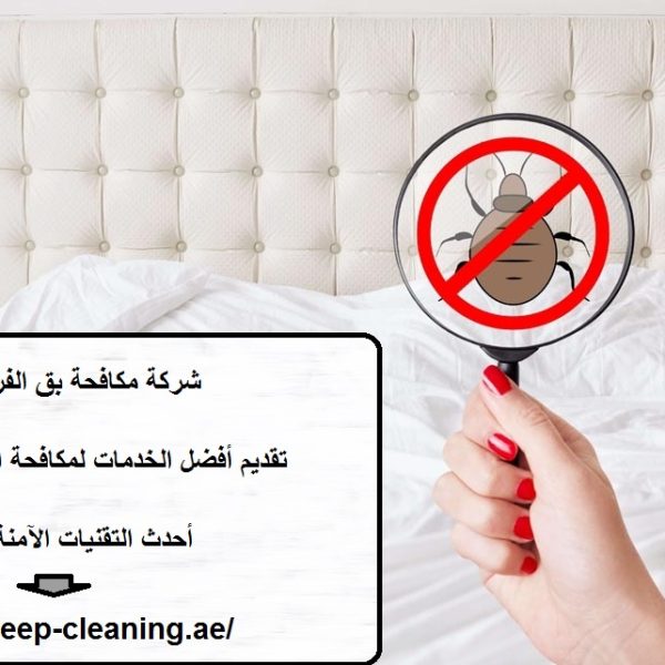 شركة مكافحة بق الفراش العين