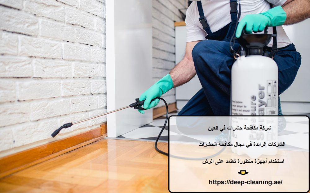 شركة مكافحة حشرات في العين