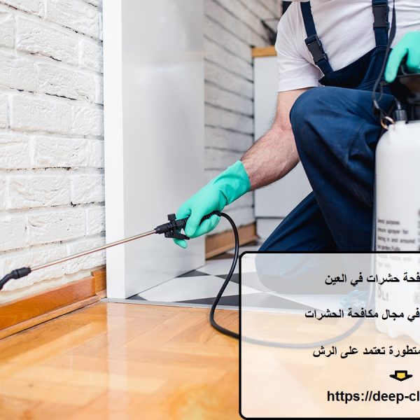 شركة مكافحة حشرات في العين